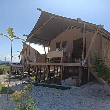 Tenda Da Julieta Canedo de Basto